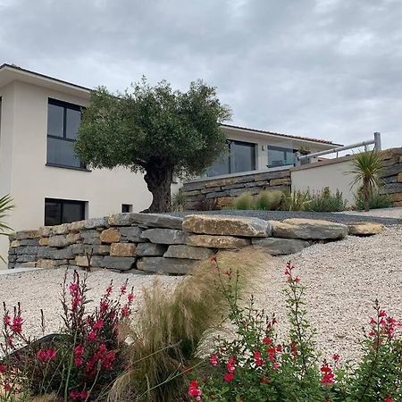 Superbe Appartement Avec Terrasse Et Vue Bouzigues Esterno foto